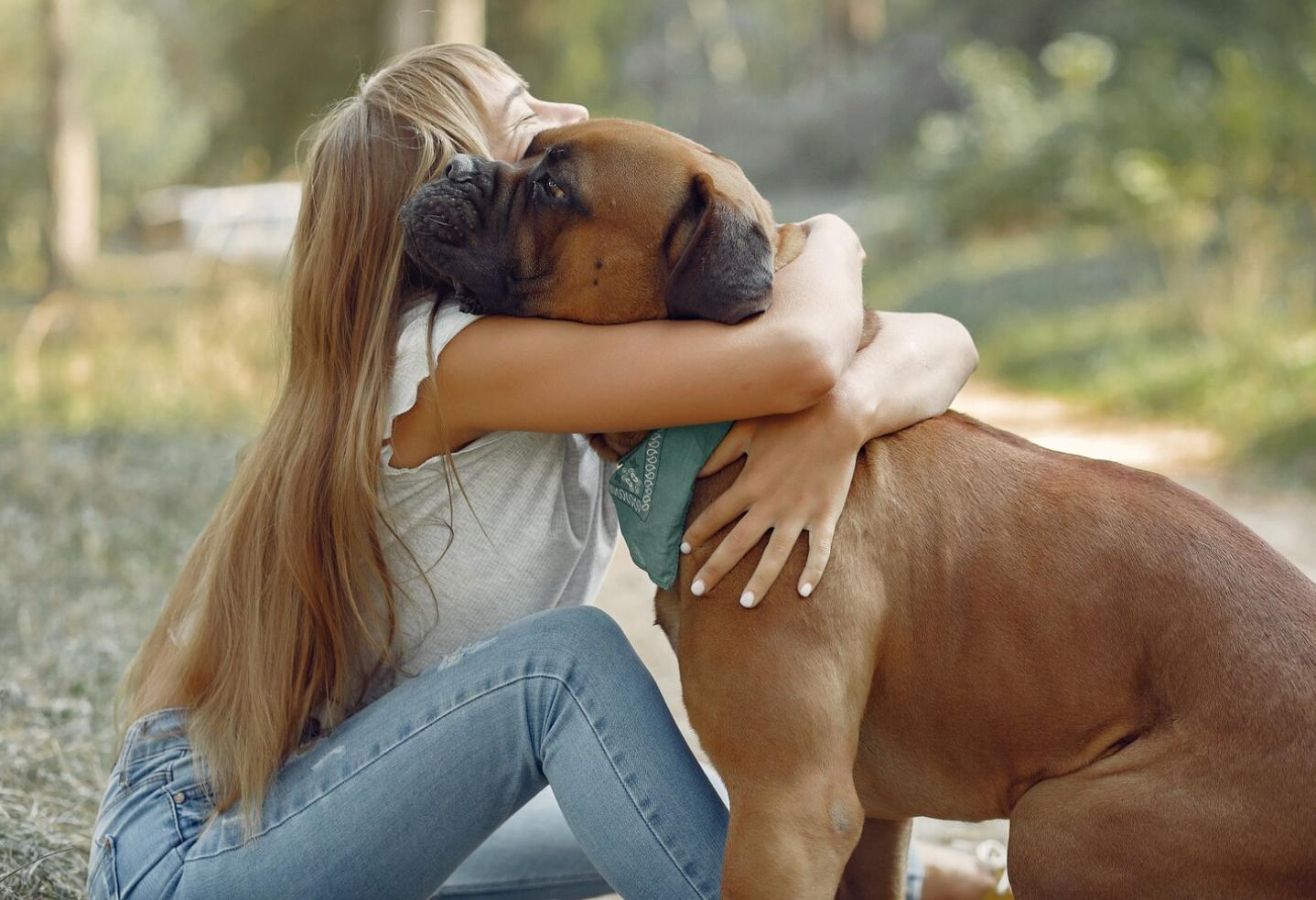 Creating a Safe and Enriching Environment for Your Pet