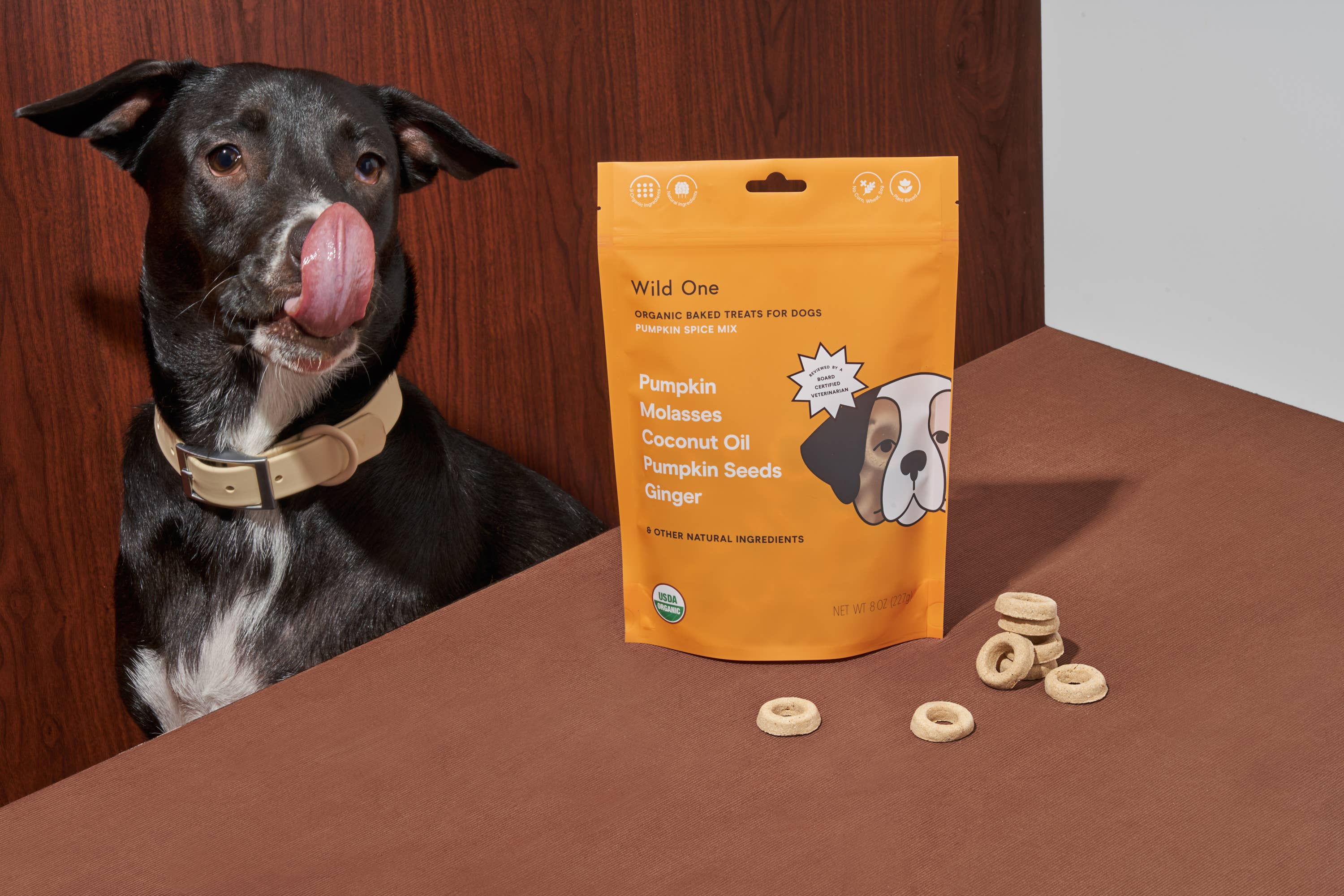 Organic Pumpkin Spice Vegan Baked Dog Treats