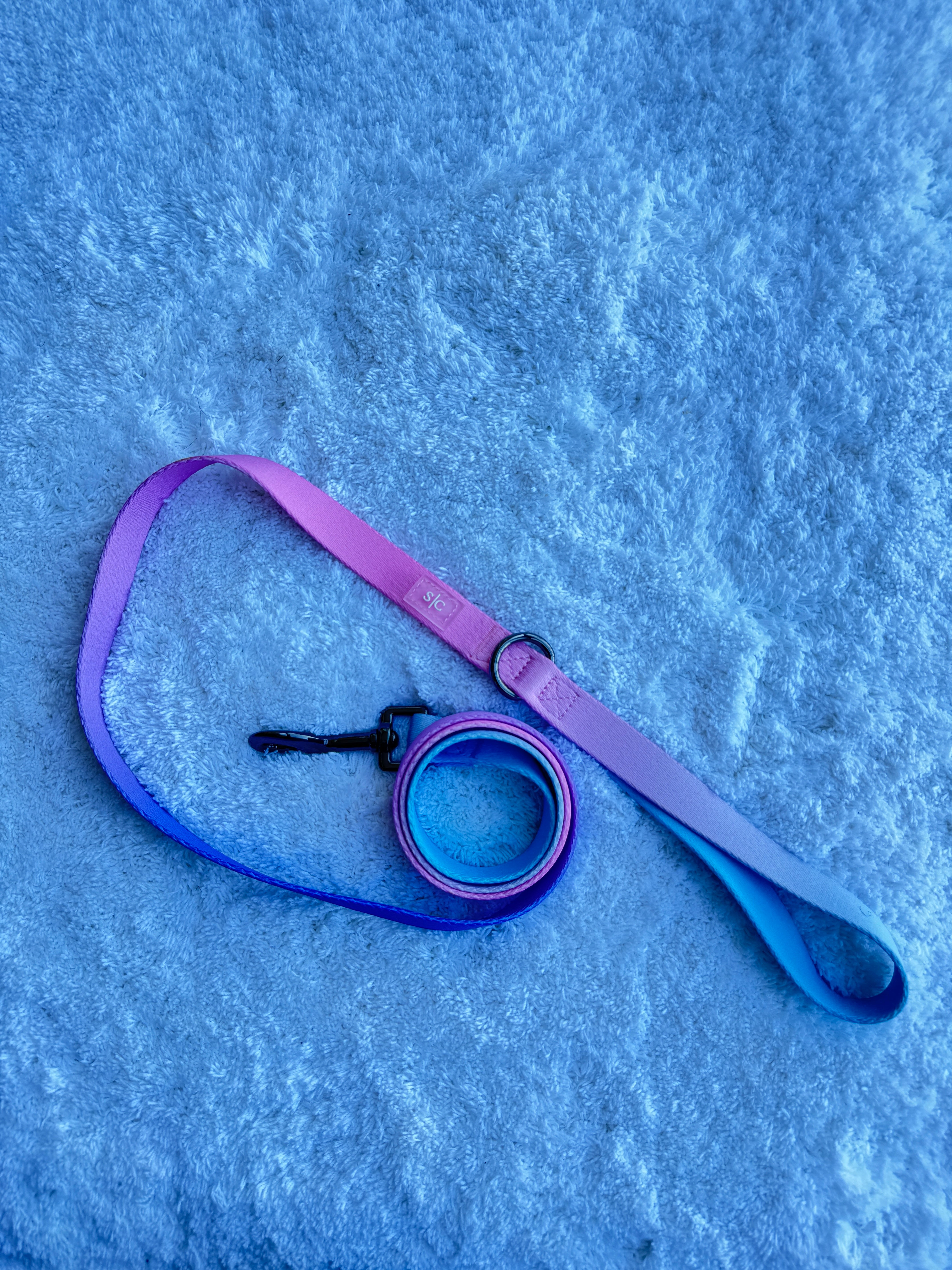 The Signature Sloan Leash