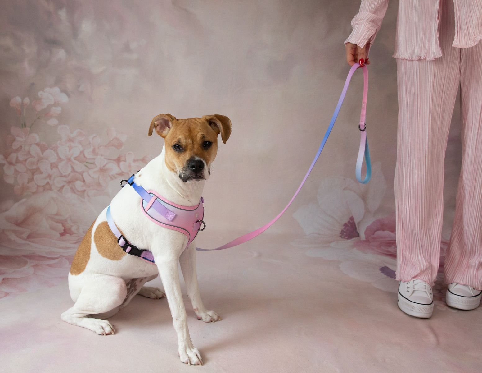 The Signature Sloan Leash