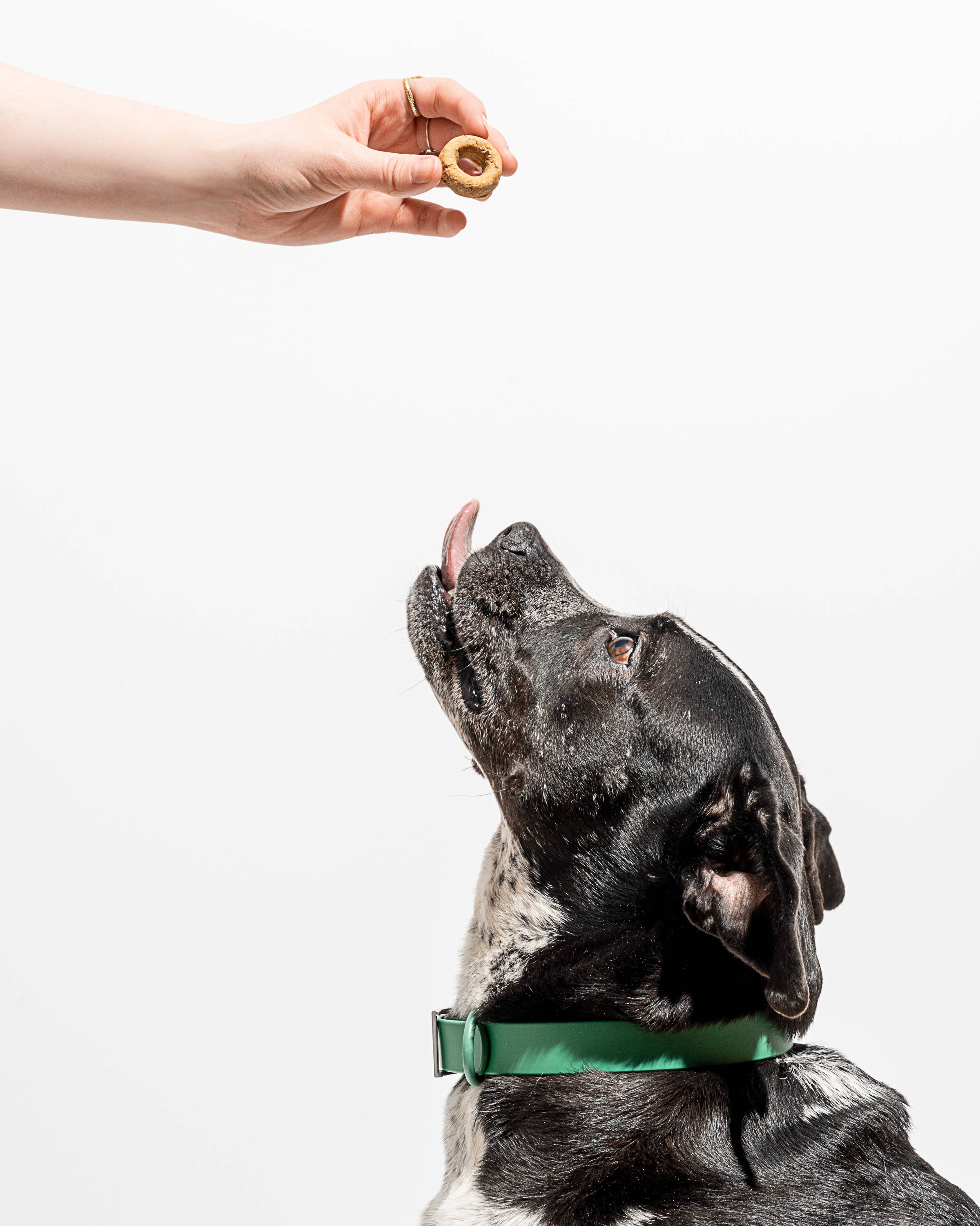 Organic Pumpkin Spice Vegan Baked Dog Treats