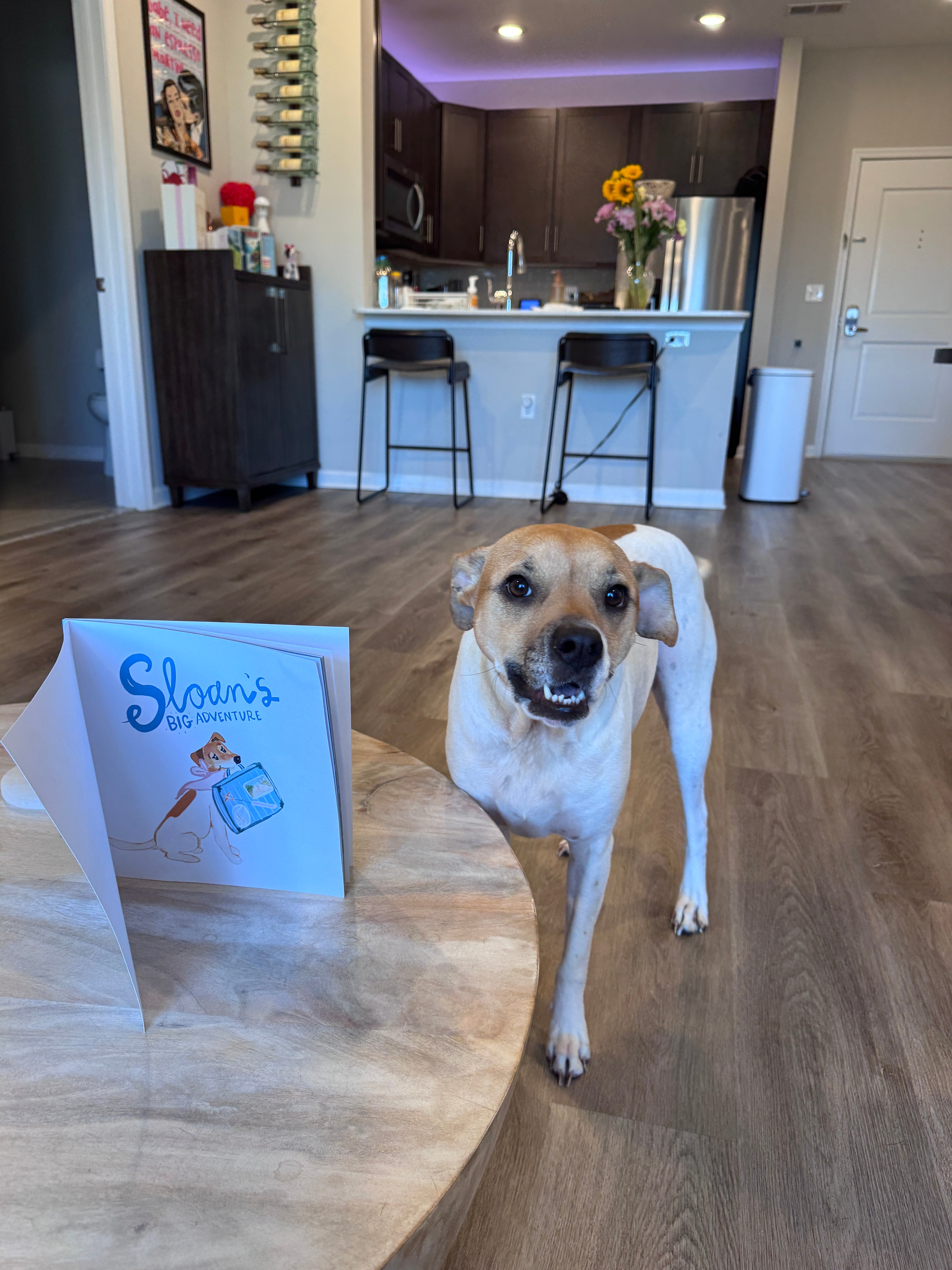 Sloan’s Big Adventure (Paperback via Amazon ONLY)