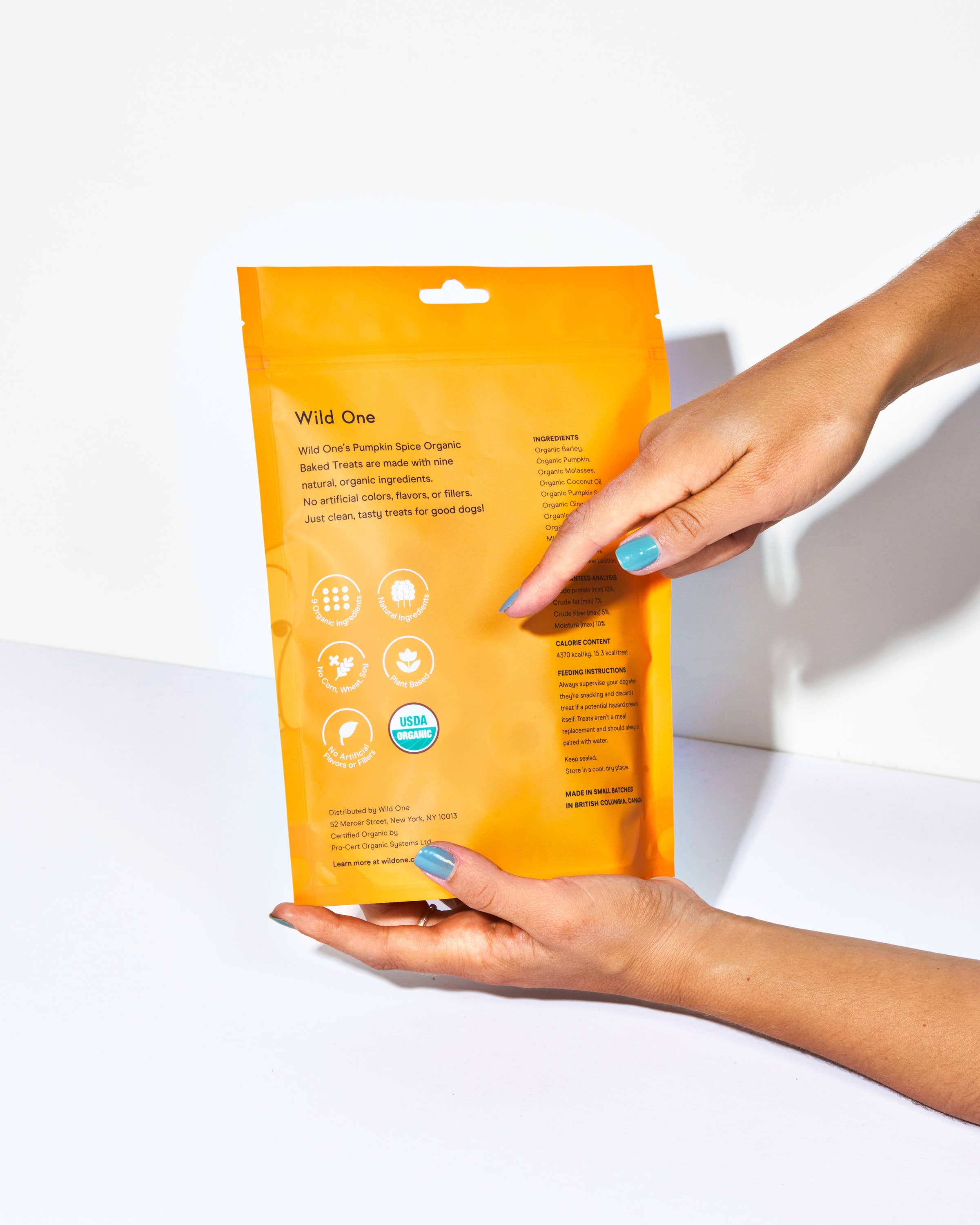 Organic Pumpkin Spice Vegan Baked Dog Treats