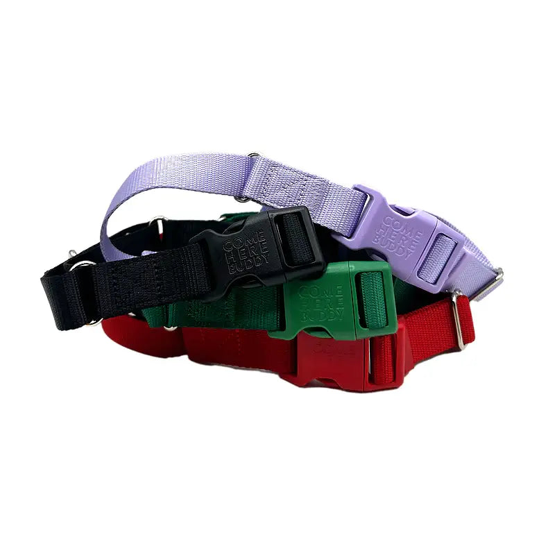 Dog Collar - Martingale