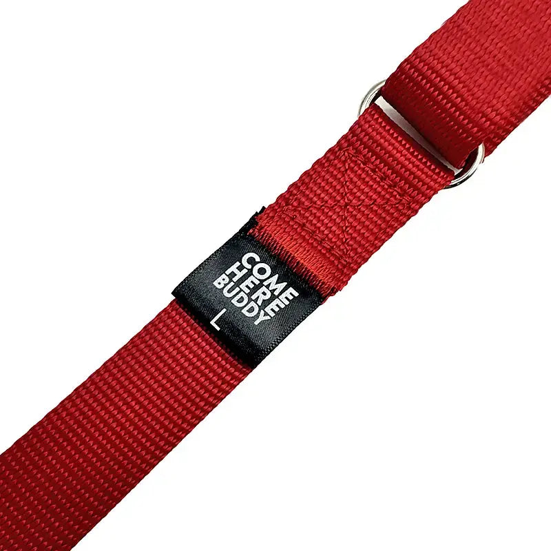 Dog Collar - Martingale