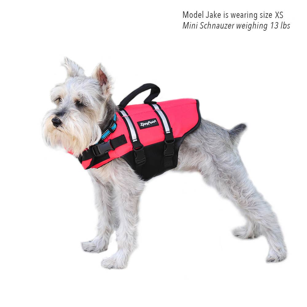 Adventure Dog Life Jacket