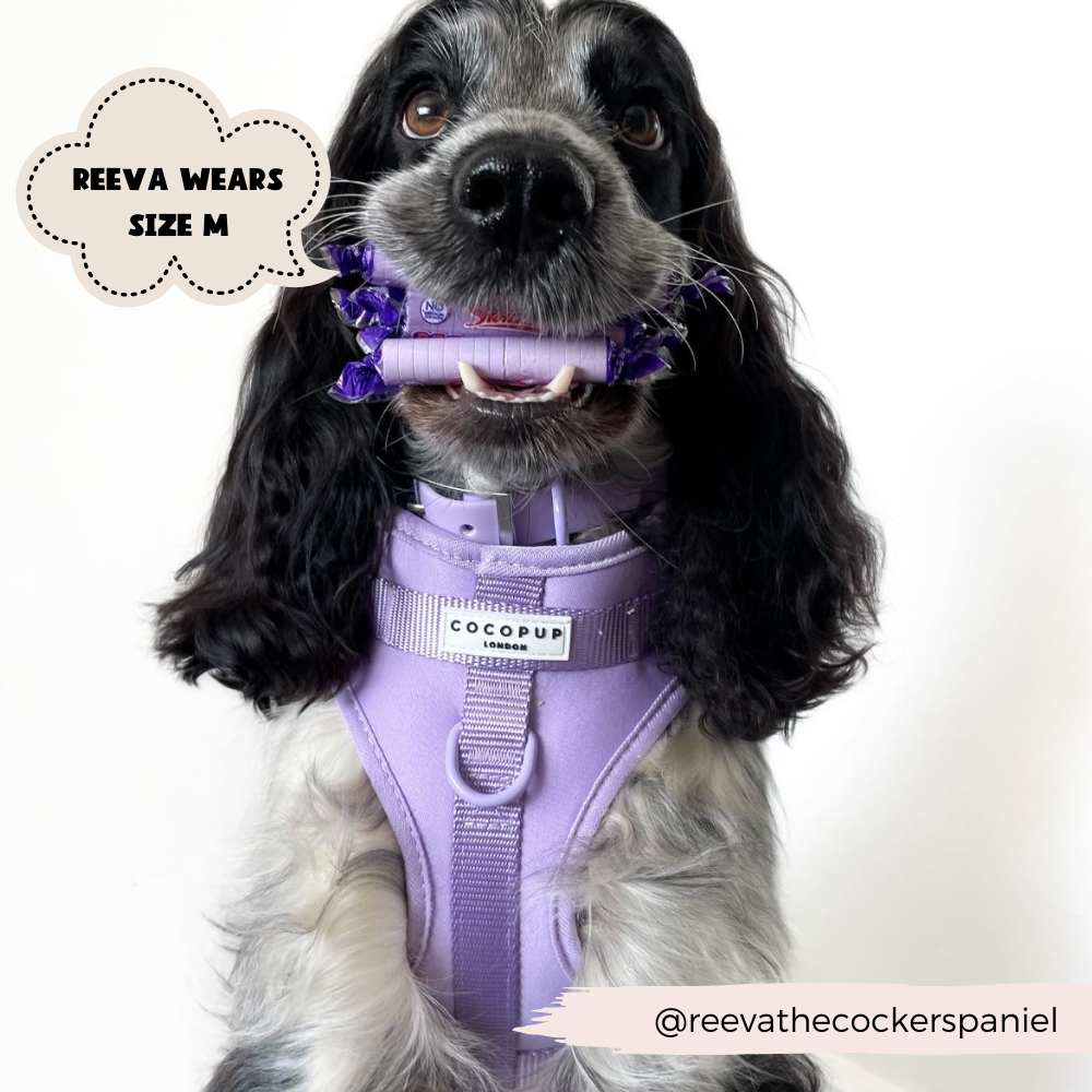 NAKD Adjustable Neck Harness - Parma Violets