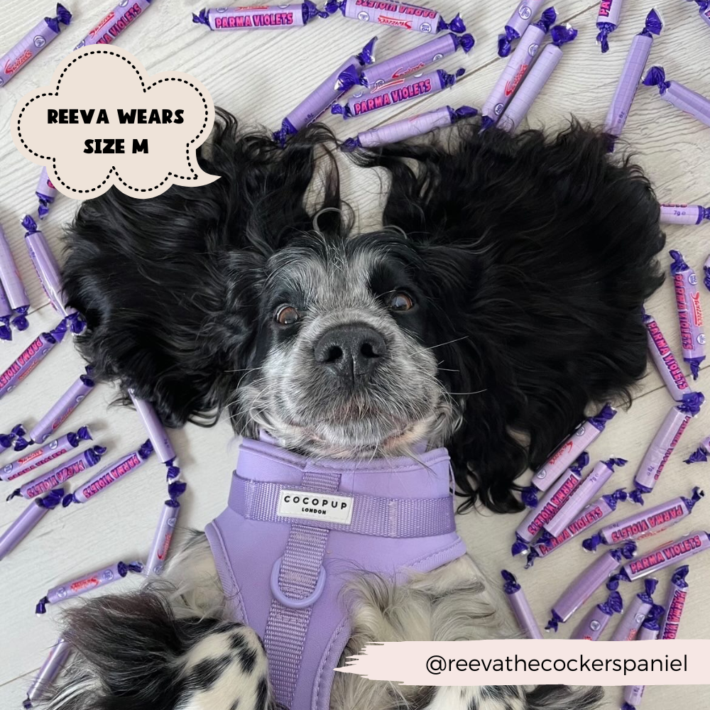 NAKD Adjustable Neck Harness - Parma Violets