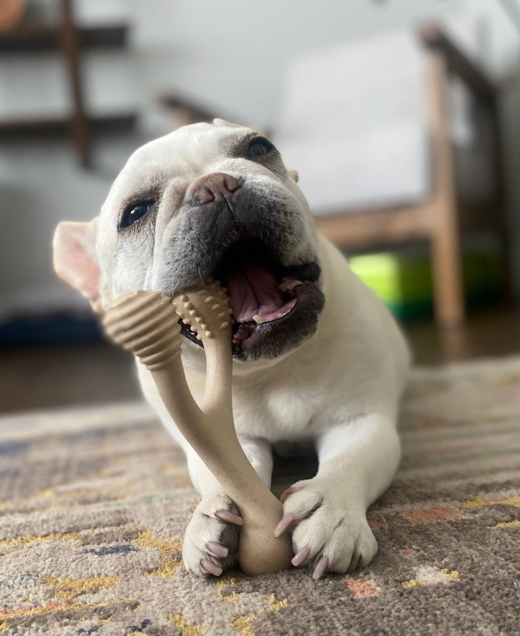 BetterBone TOUGH — DURABLE All-Natural or Beef Flavor Sustainable Chew Toy