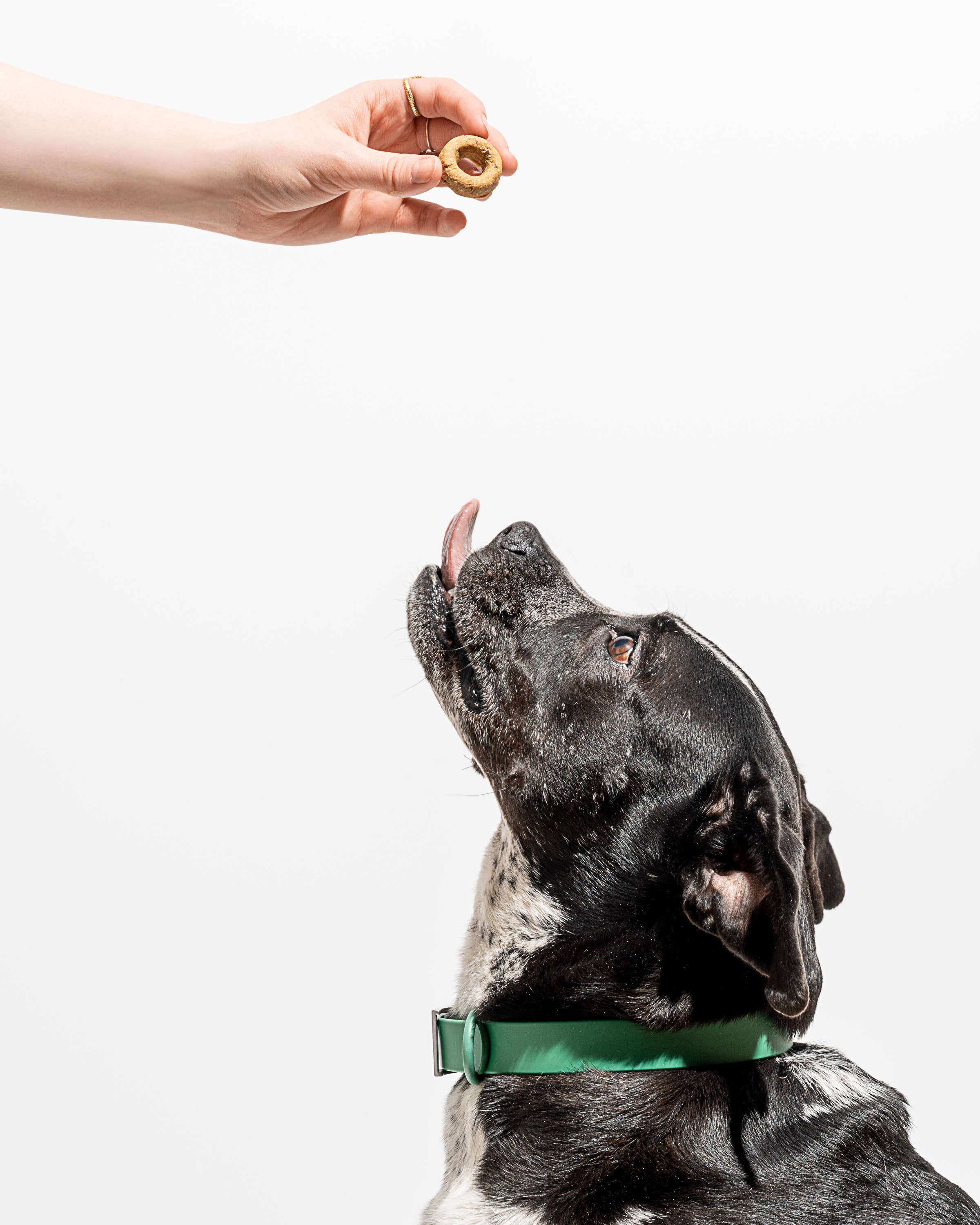 Organic PB&J Vegan Baked Dog Treats