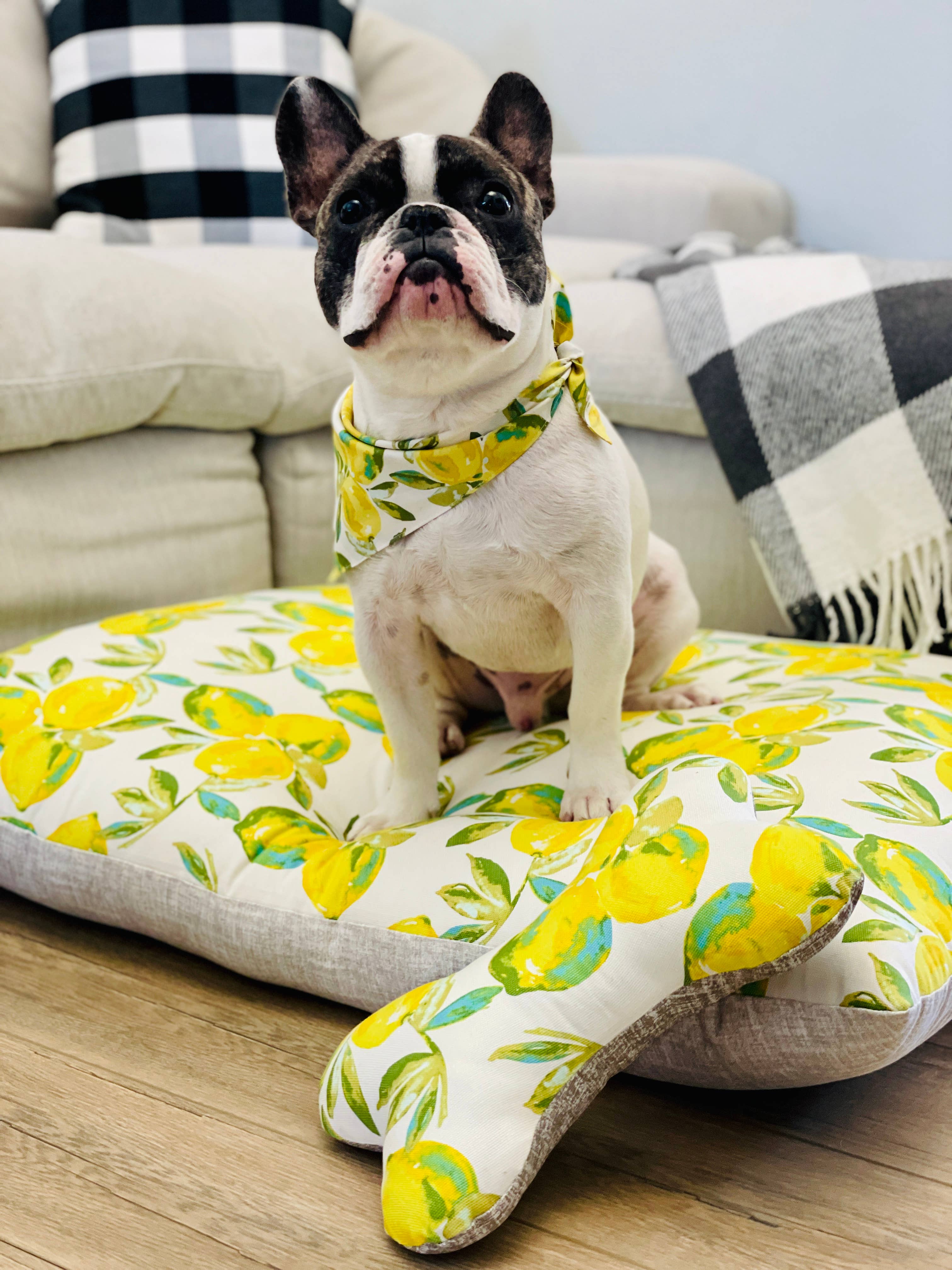 Lemon Dog Bandana