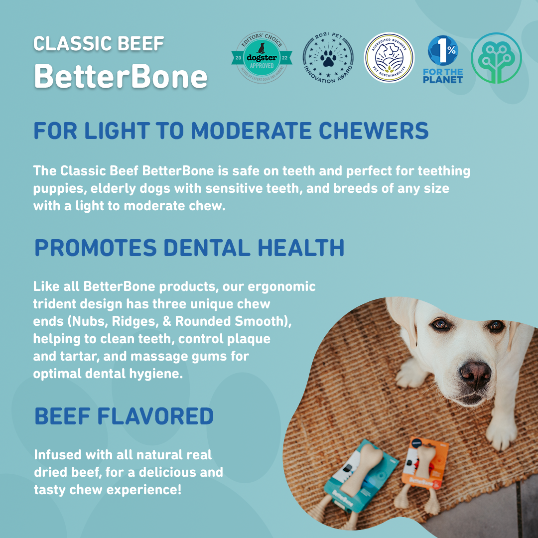 BetterBone CLASSIC All Natural, Eco, Safe on teeth Chew Toy