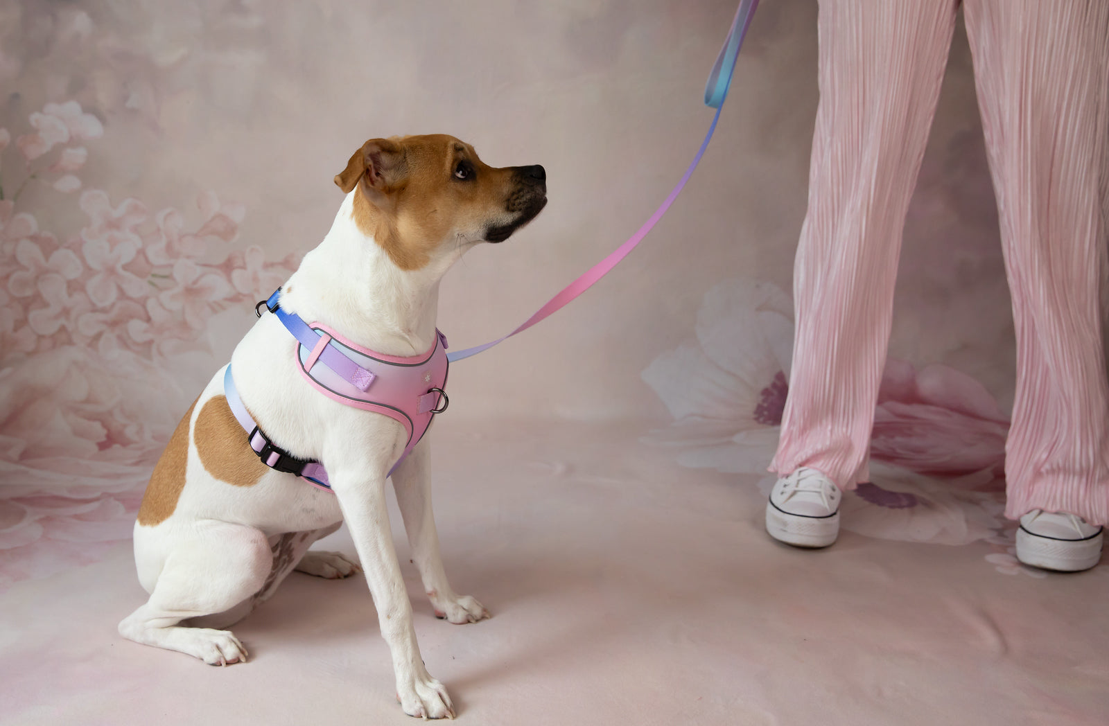 The Signature Sloan Leash