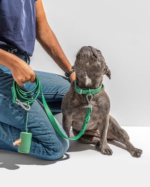 Wild One Spruce Poop Bag Carrier for Dogs