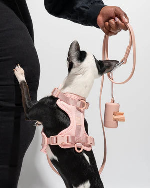 Wild One Blush Poop Bag Carrier for Dogs