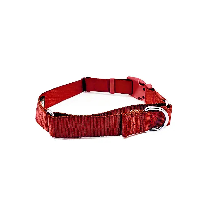 Dog Collar - Martingale