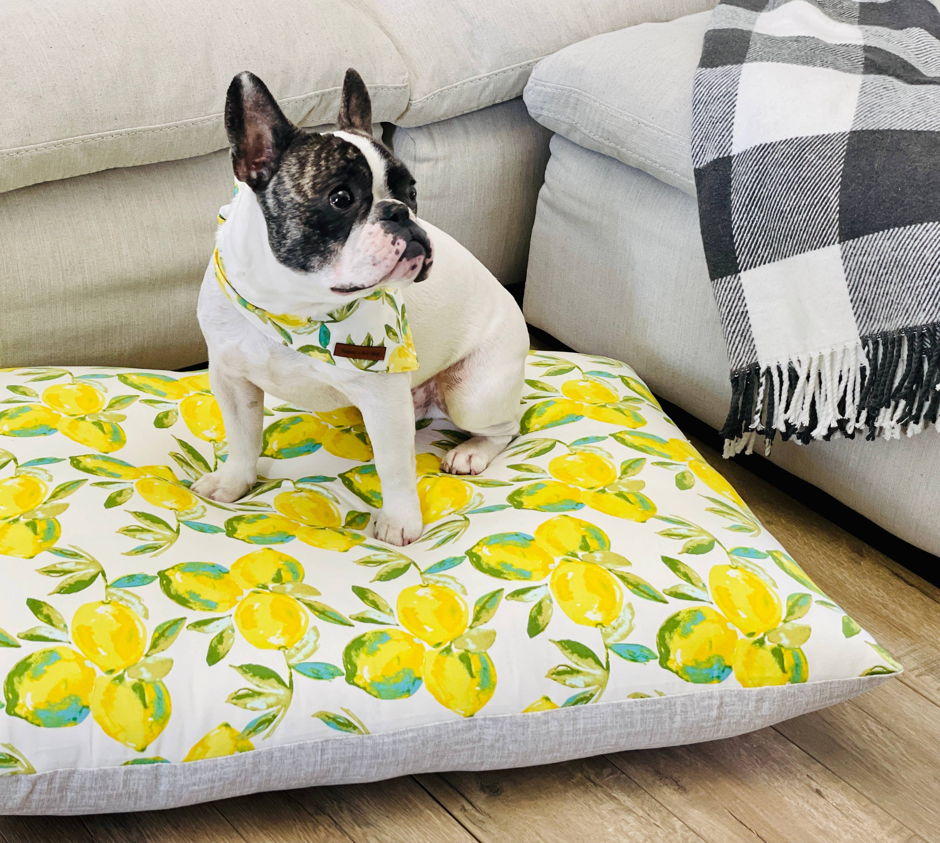 Lemon Dog Bandana