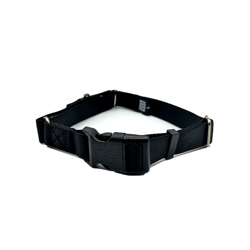 Dog Collar - Martingale