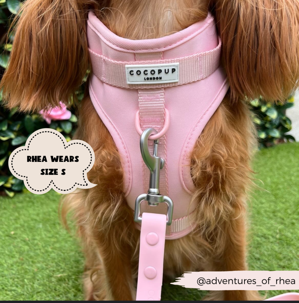 NAKD Adjustable Neck Harness - Candyfloss