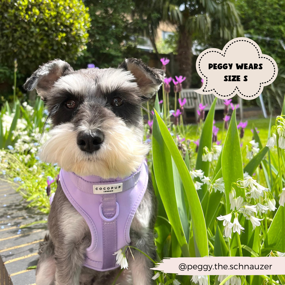 NAKD Adjustable Neck Harness - Parma Violets